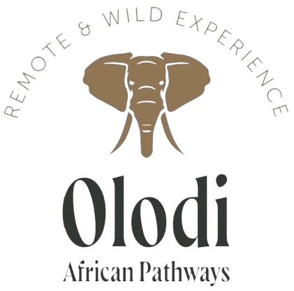 Olodi African Pathways Photography