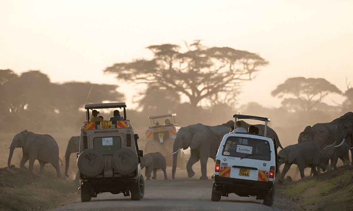 African safari group watching sunset with Maasai guide in Serengeti National Park