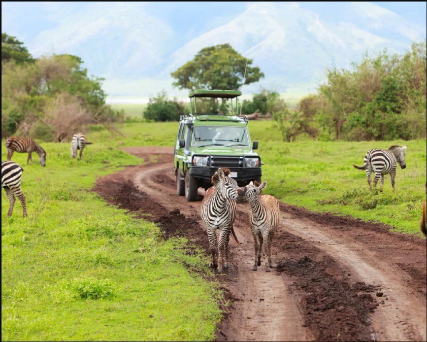 Olodi African Pathways Safari Jeep in Serengeti